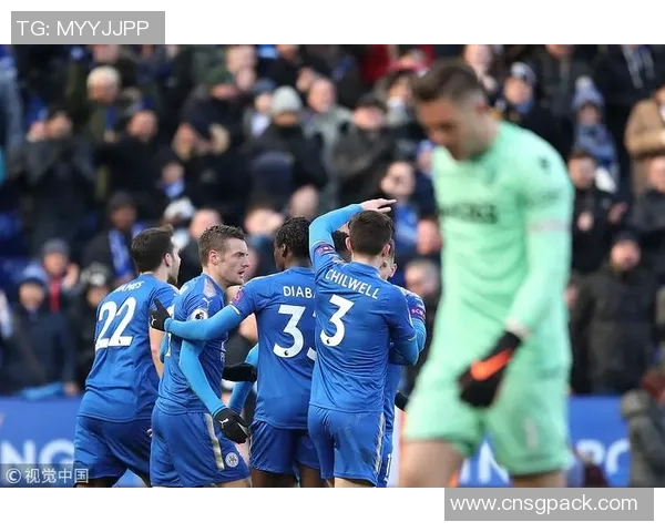 埃弗顿与纽卡历史交锋记录分析及战绩回顾